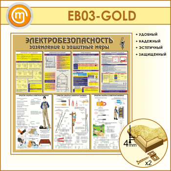 Стенд «Электробезопасность. Заземление и защитные меры» (EB-03-GOLD)